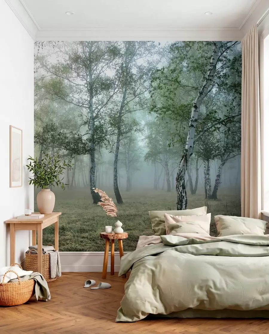 Fototapet Březová mlha u25820