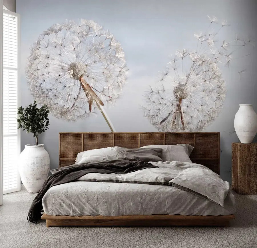 Fototapet Velké pampelišky u44628