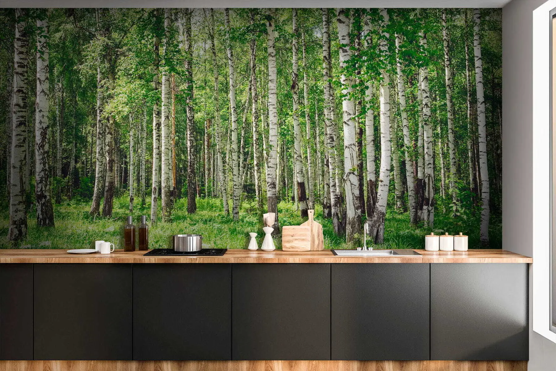 Fototapet Březový les u52530