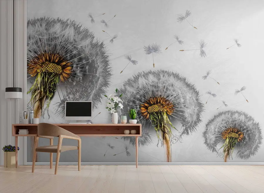 Fototapet Tři pampelišky na bílém pozadí u61442