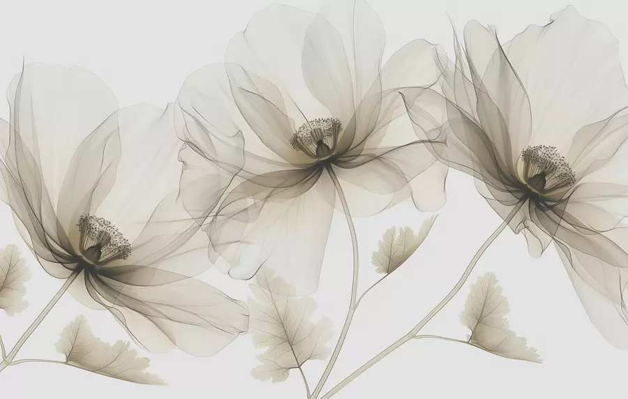 Fototapet Hnědá průhledná květina v rentgenovém stylu na bílém pozadí Minimalistický jednobarevný botanický design w01482v2