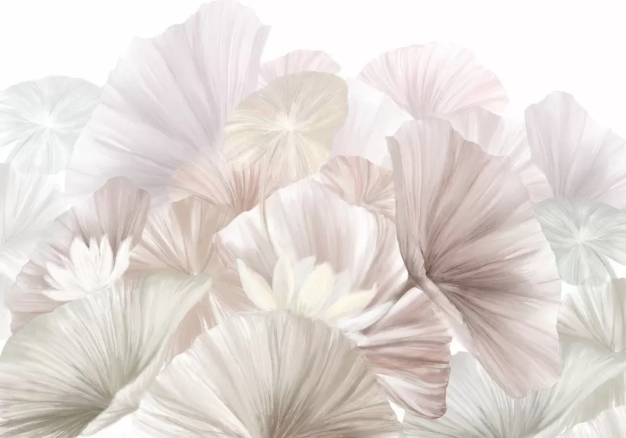 Fototapet Jemné růžové lotosové listy s bílými květy s jemnými, peříčkovými okvětními lístky naaranžované v přírodní umělecké kompozici w08265v1