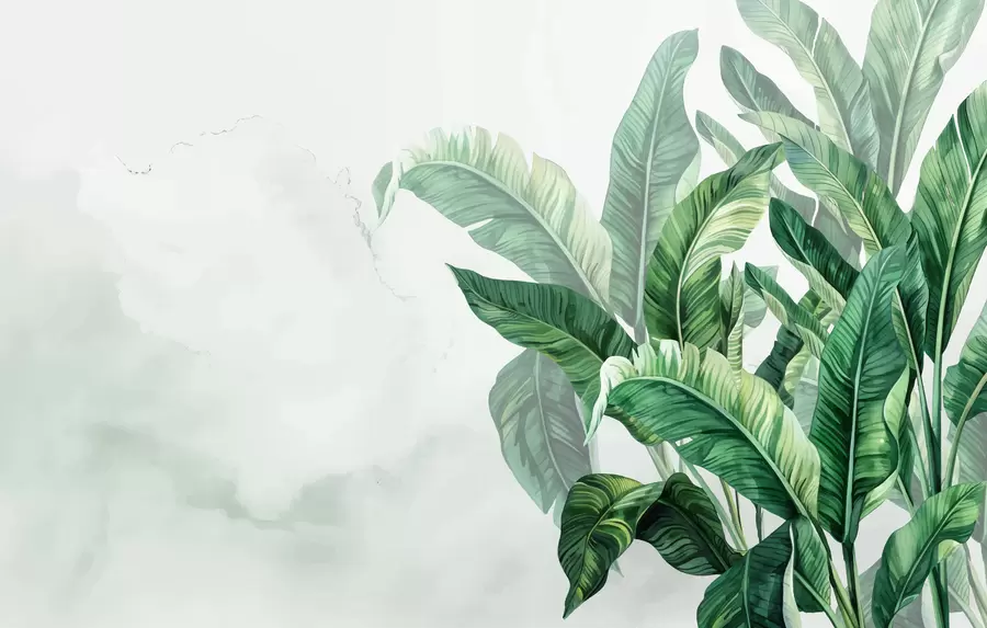 Fototapet banánové listy, velké listy, zelené listy, tropické listy w01630