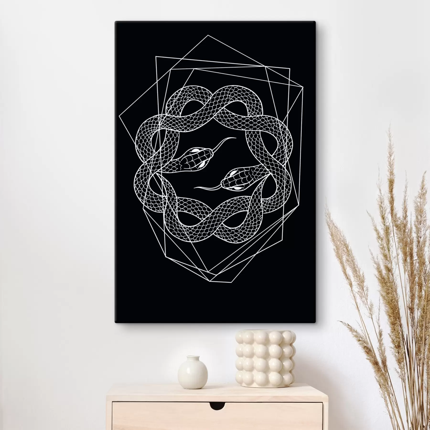 Obraz Bílý had v kruhu Č. s38565v4