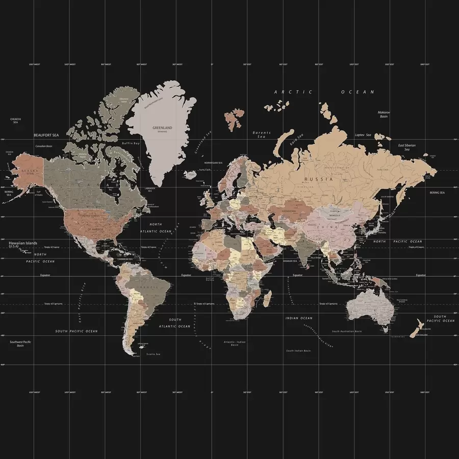Fototapet Mapa světa se zakreslenými různými zeměmi u99477d1