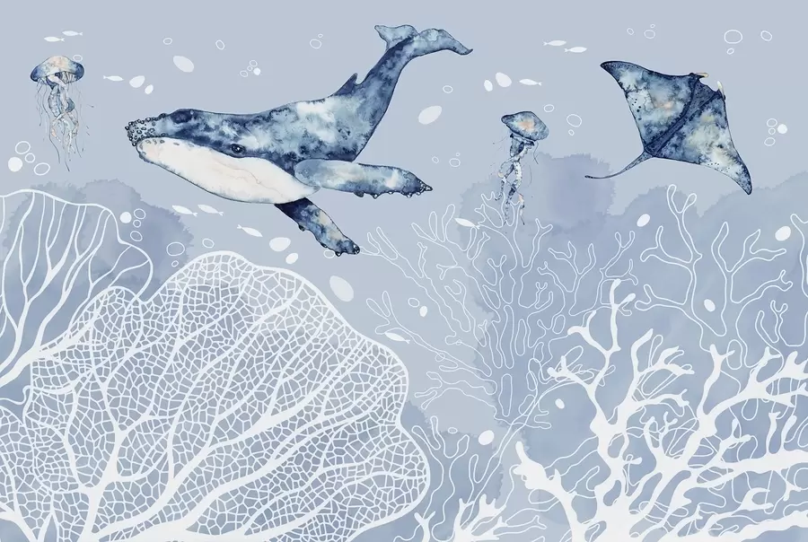 Fototapet Podmořské zázraky w00848