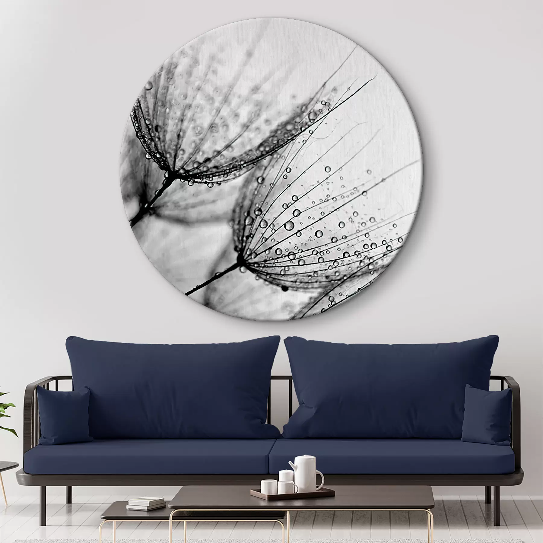 Obraz Rostlina, větvička a vlasec Č. r20828