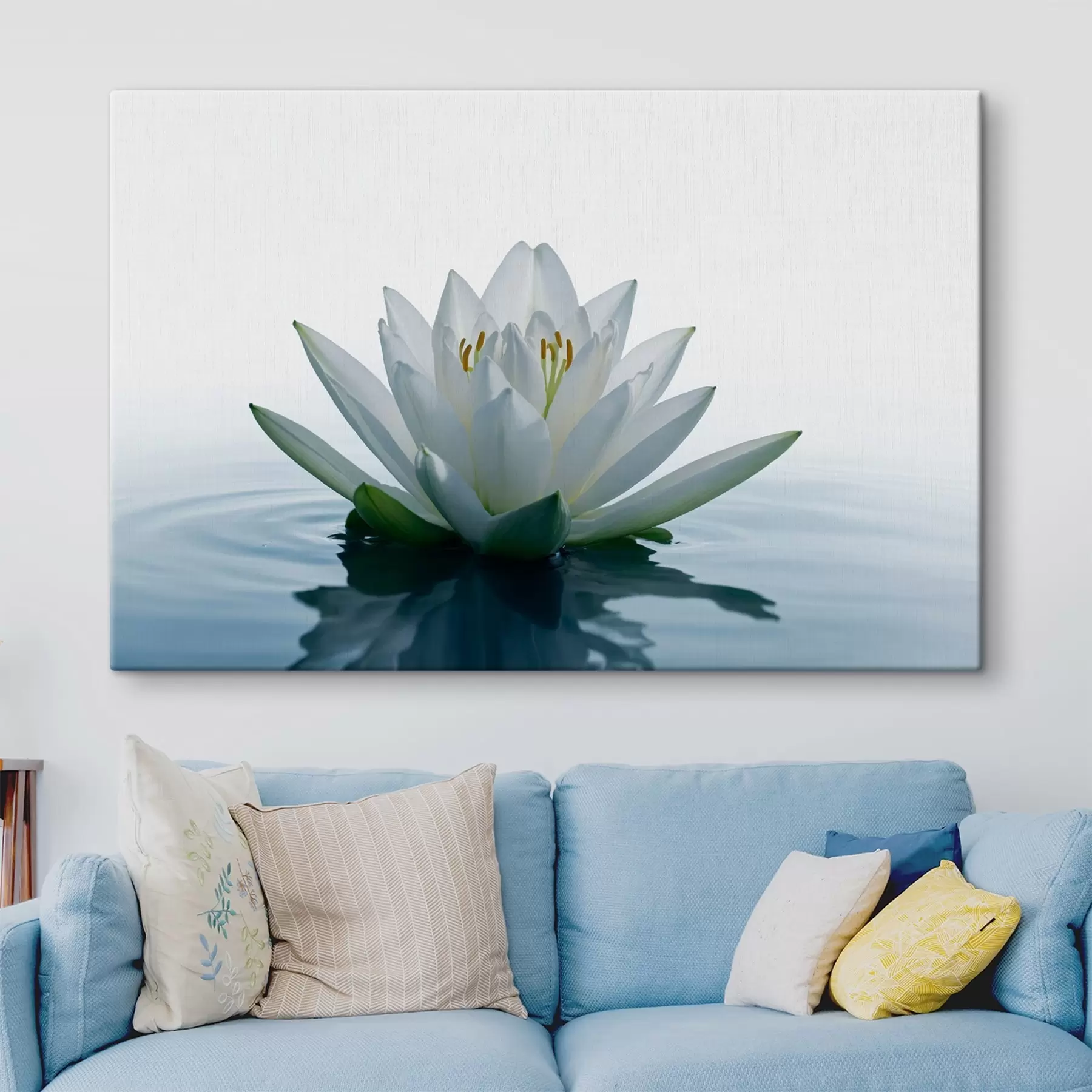 Fototapet Lilie plovoucí na vodě s42098