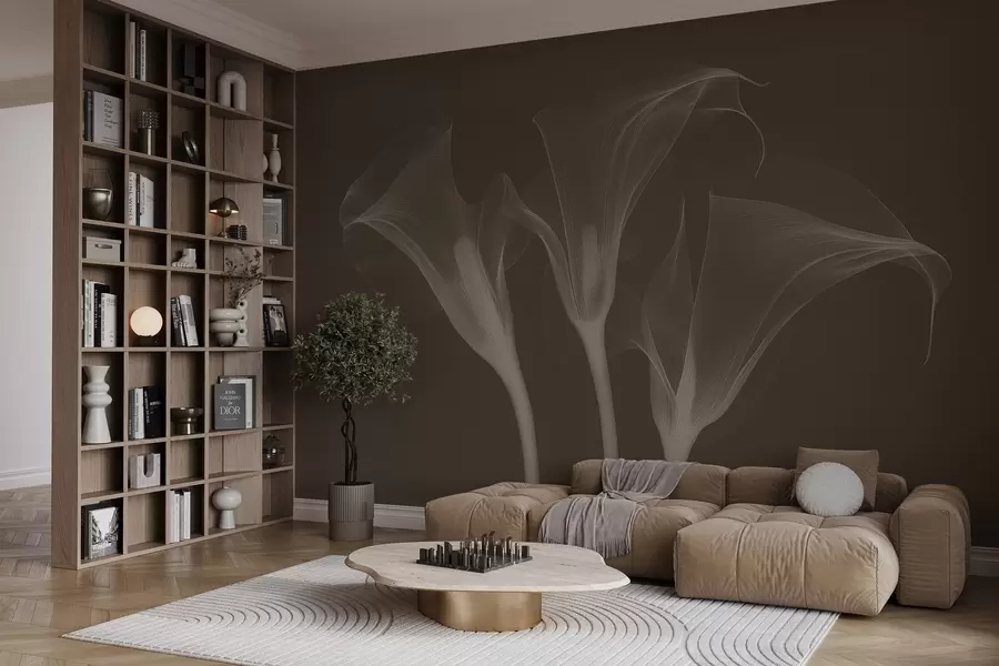 Fototapet vzdušné průhledné květy Zantedeschia na tmavém pozadí w02632v1