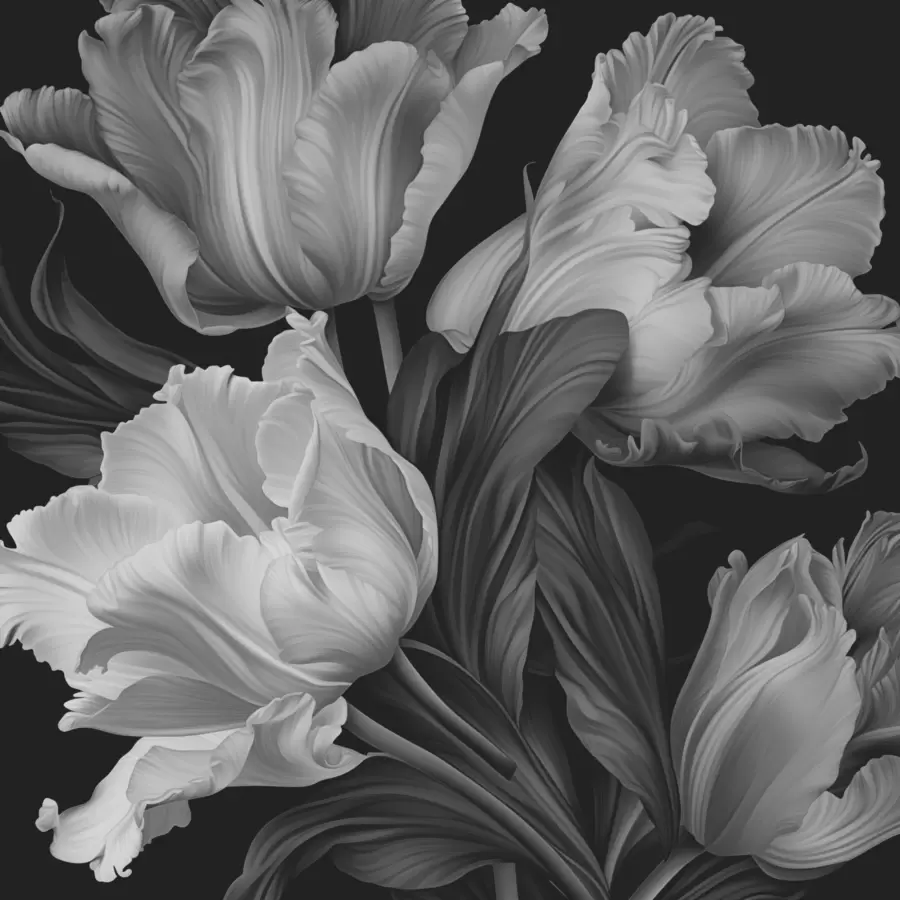 Fototapet Černobílé tulipány ve fotorealistickém stylu w02557