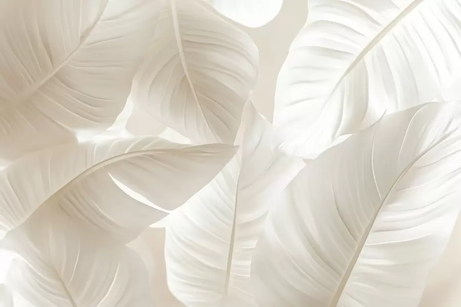 Fototapet Velké jemné listy w08565