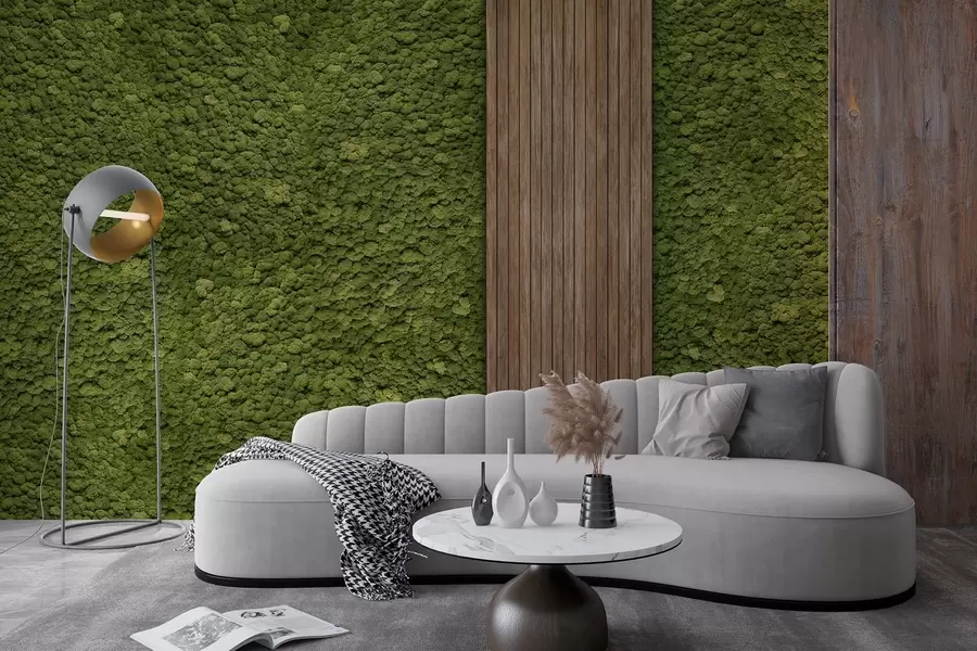 Fototapet Stěna v mechovém stylu s dřevěným panelem, svěží olivové barvy w02656v3