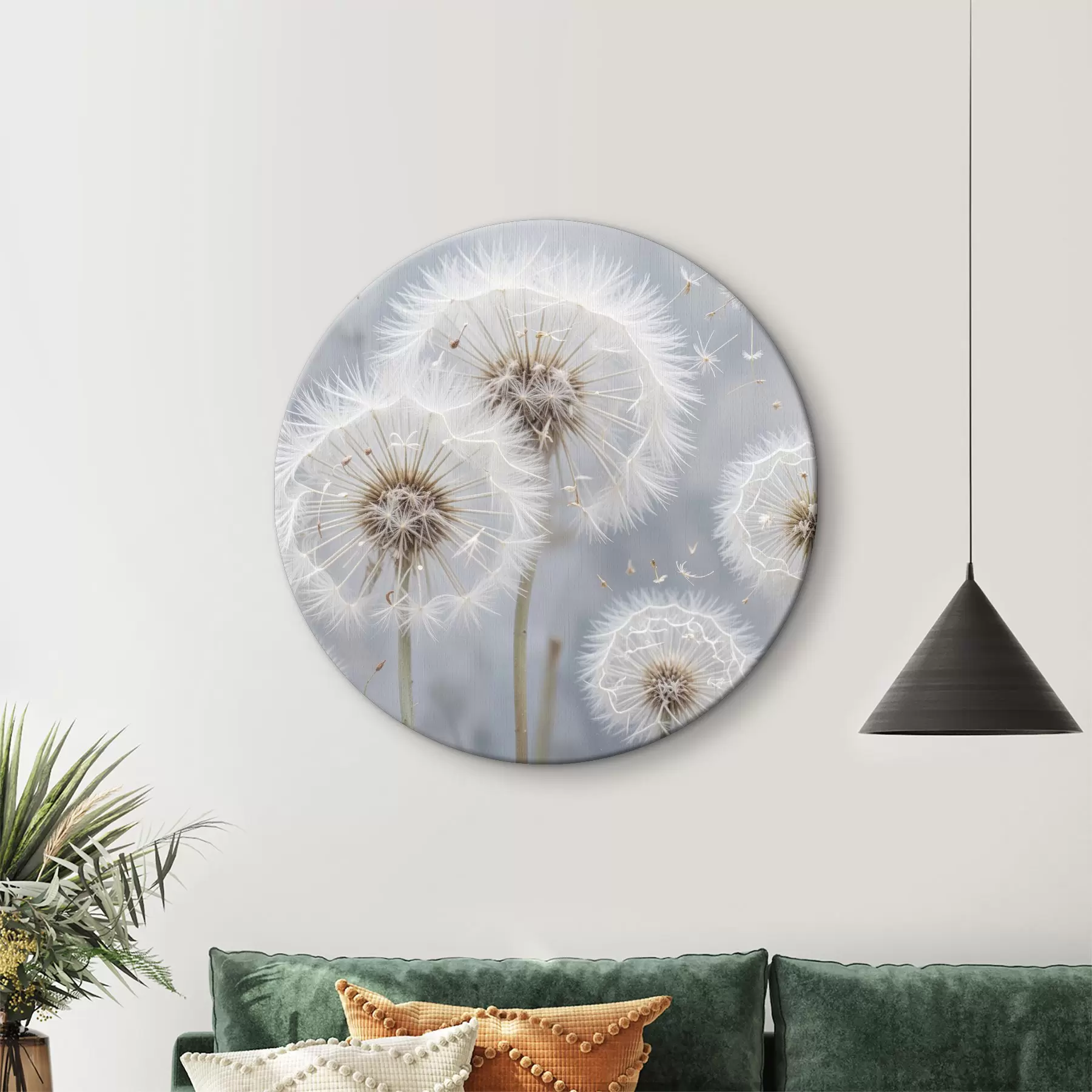 Obraz Bílé květy pampelišky s nadýchanými semeny na rozmazaném šedém pozadí Č. r40556