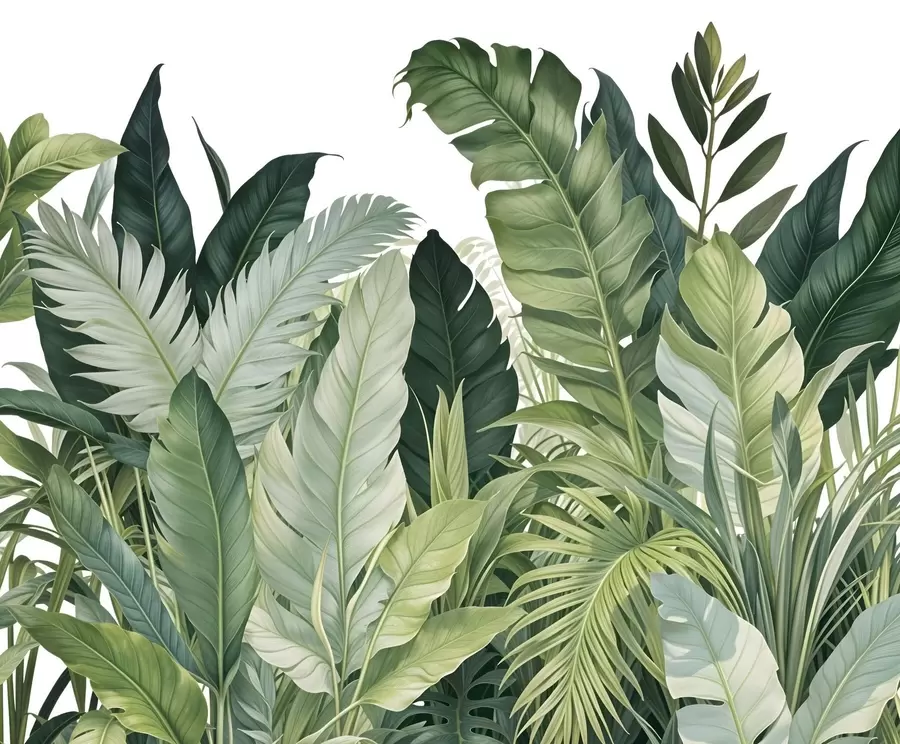 Fototapet Tropická zeleň s různě velkými zelenými listy, včetně banánových listů, palmových listů a dalších exotických druhů rostlin w08609