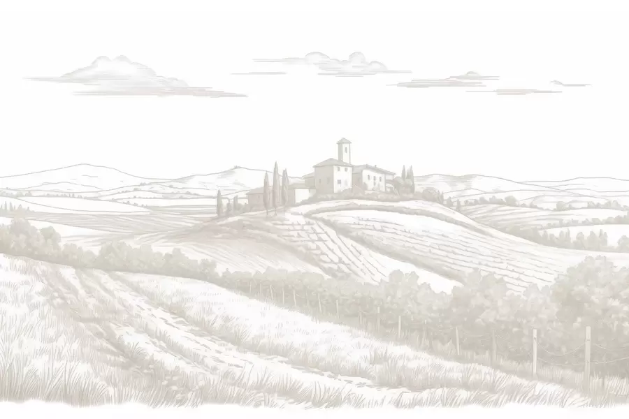 Fototapet Toskánsko krajina, Itálie, vinice, příroda, starý hrad, béžové barvy w03349