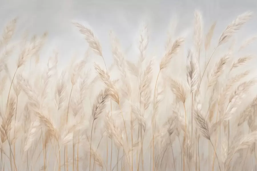 Fototapet Klásky na pozadí modré oblohy w03530