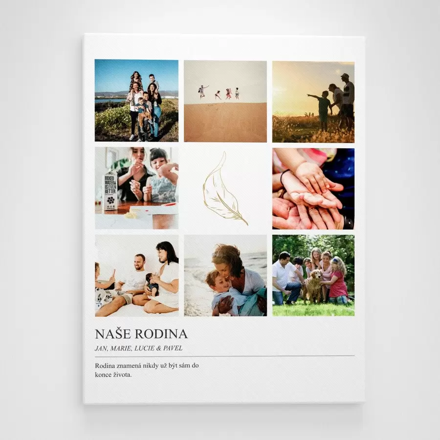 Obraz Koupit fotokoláž na plátno jako dárek Č. s43802