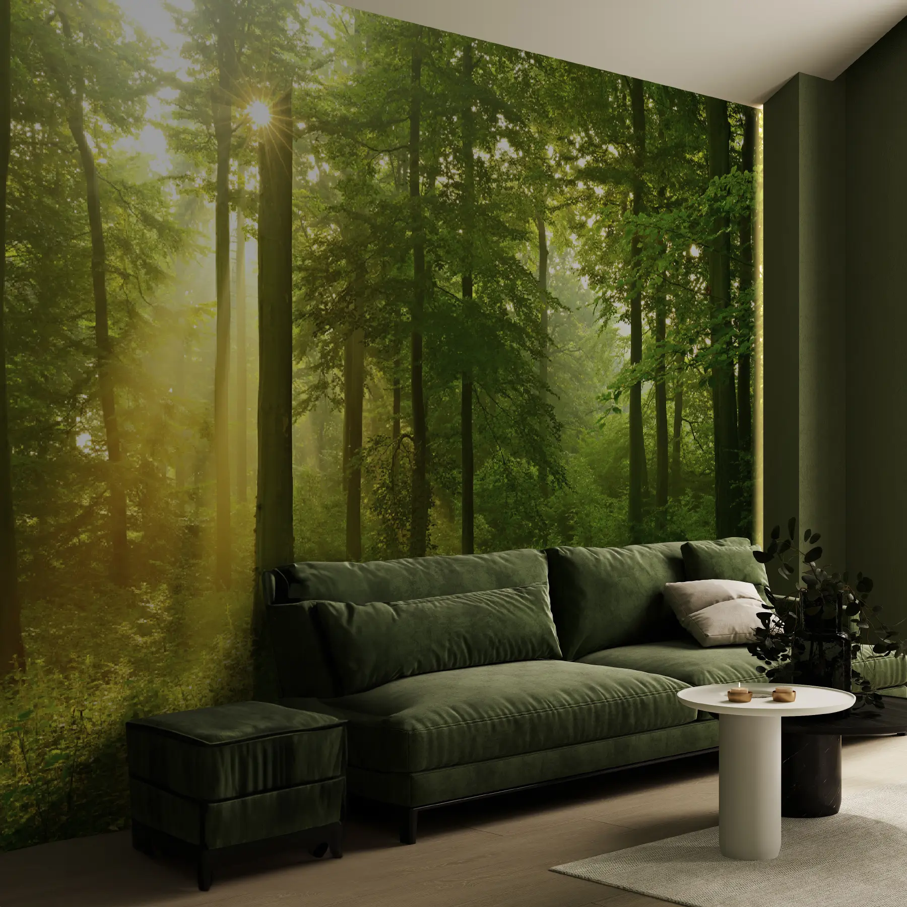 Fototapet Ticho ve slunném lese u57295