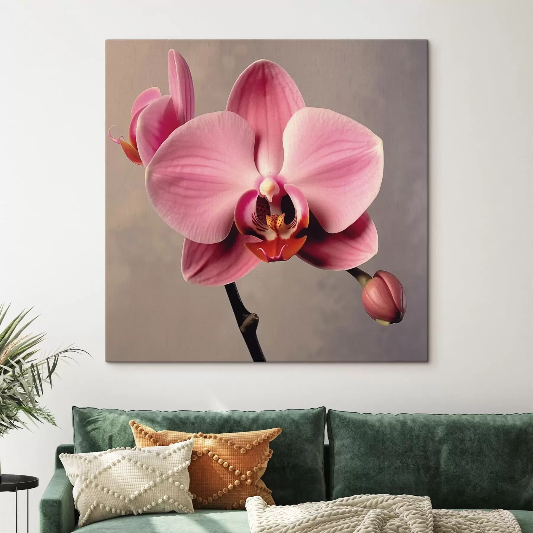 Fototapet Orchidej s43245