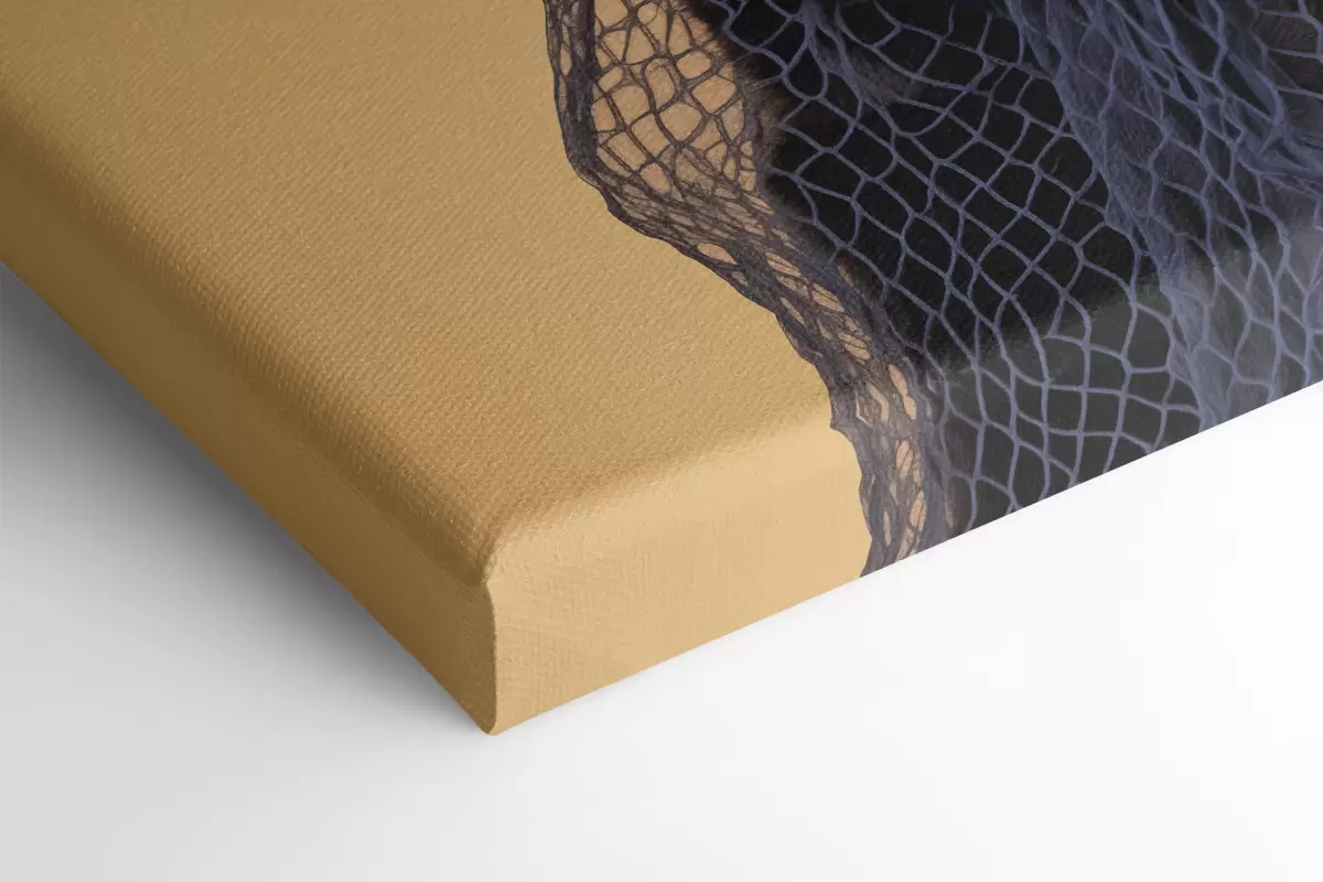 Obraz Černá kočka v síti Č. s43959