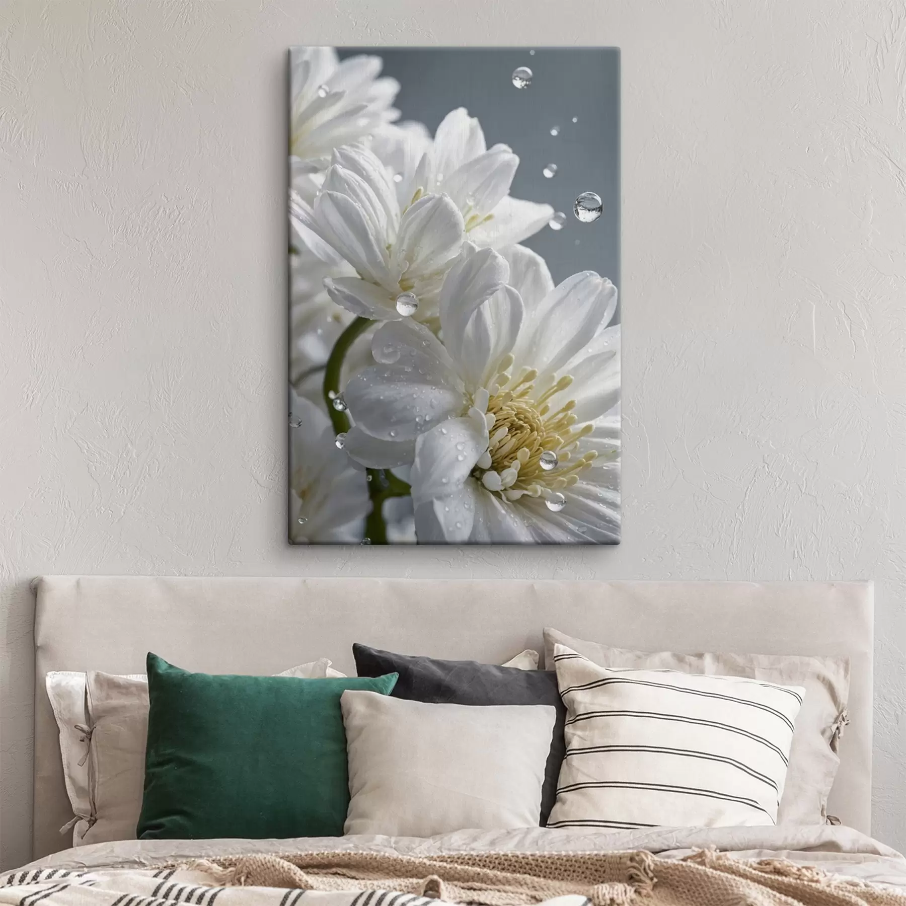 Obraz Bílé květy s rosou Č. s44100