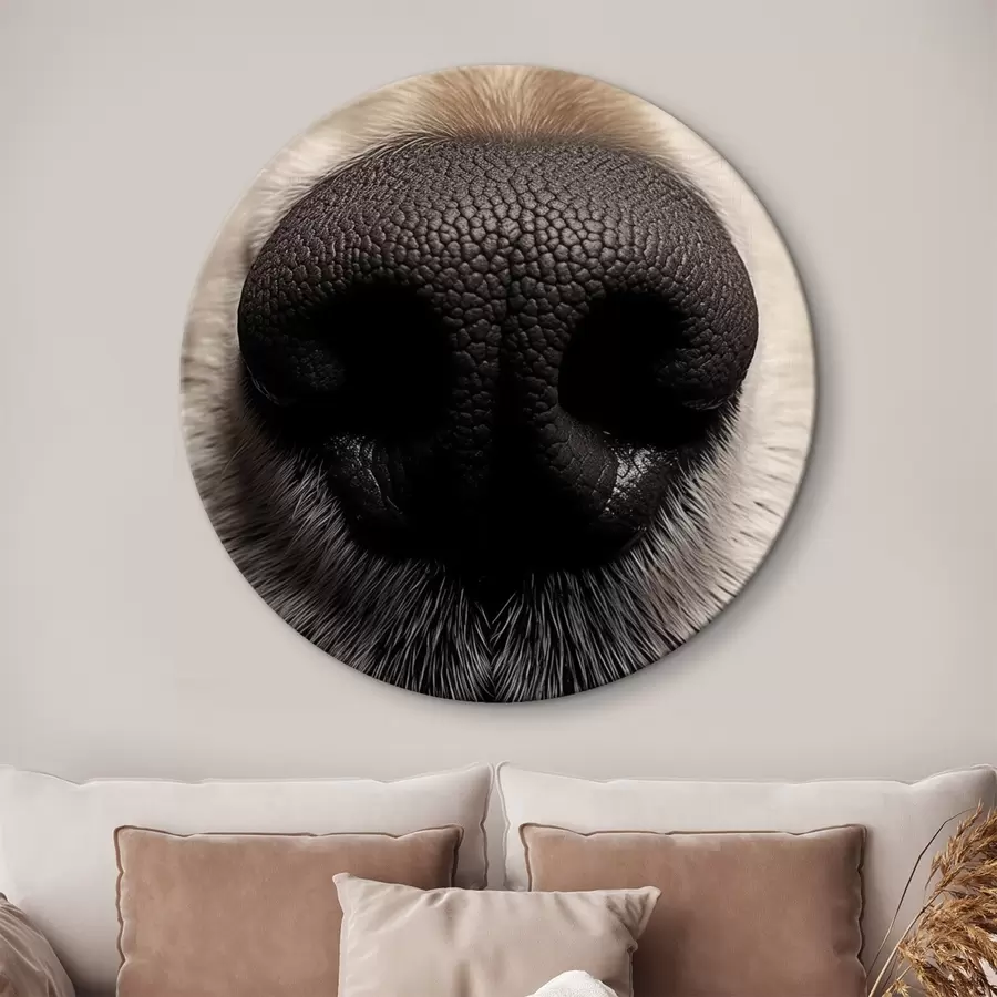 Obraz Psí nos Č. r44273