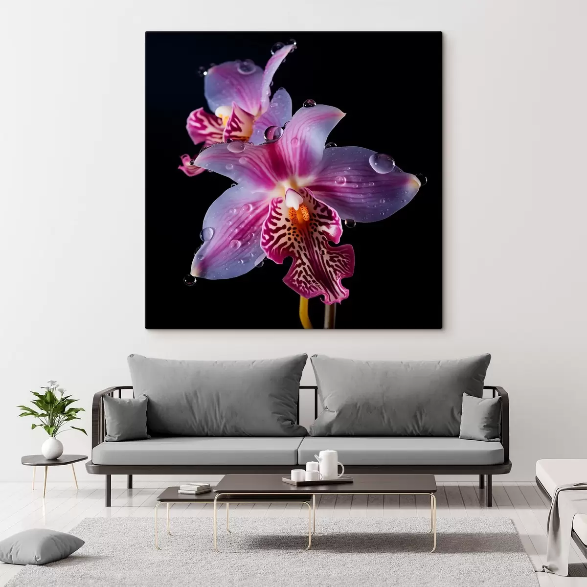 Obraz Kapky vody na okvětních lístcích orchidejí Č. s44356