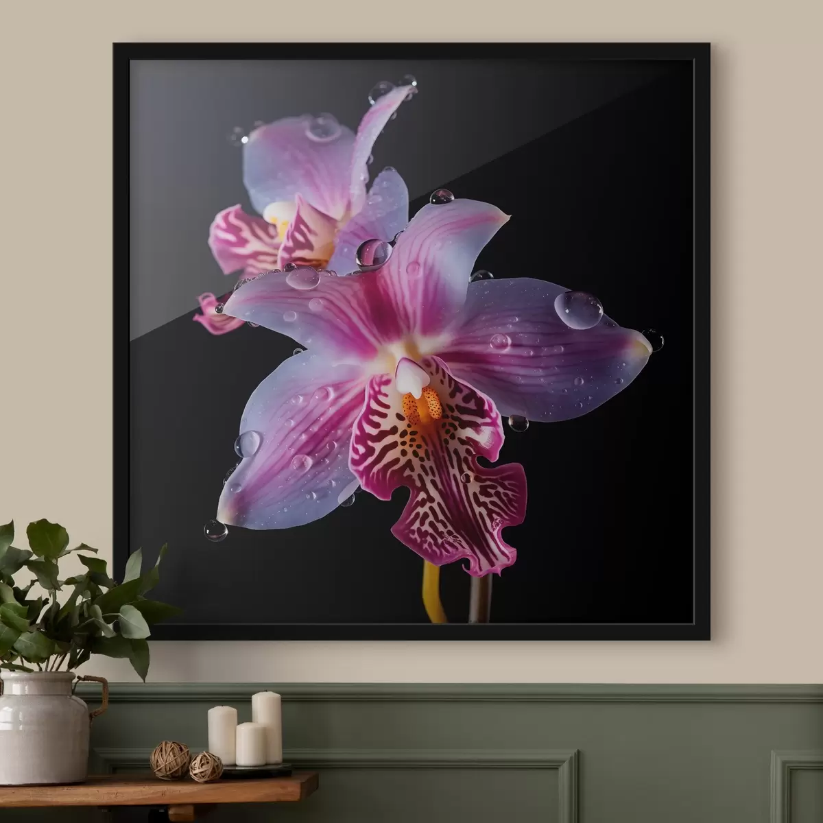 Poster Kapky vody na okvětních lístcích orchidejí f44356