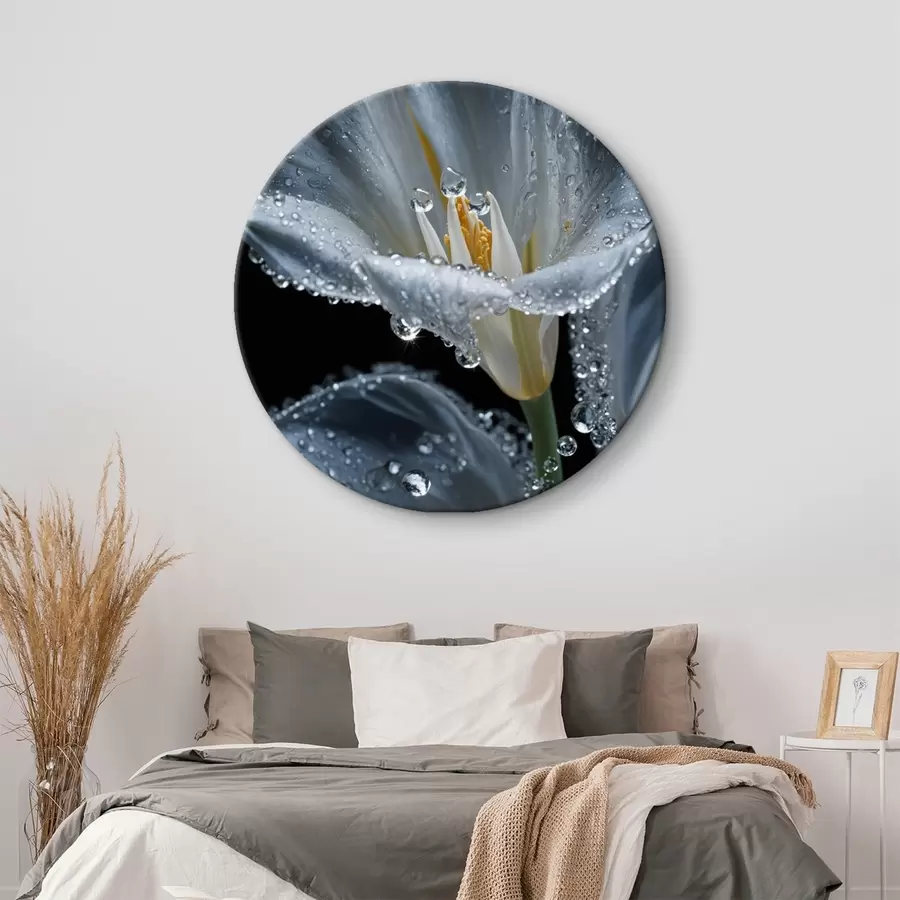 Obraz Průhledná květina na černém pozadí Č. r44479