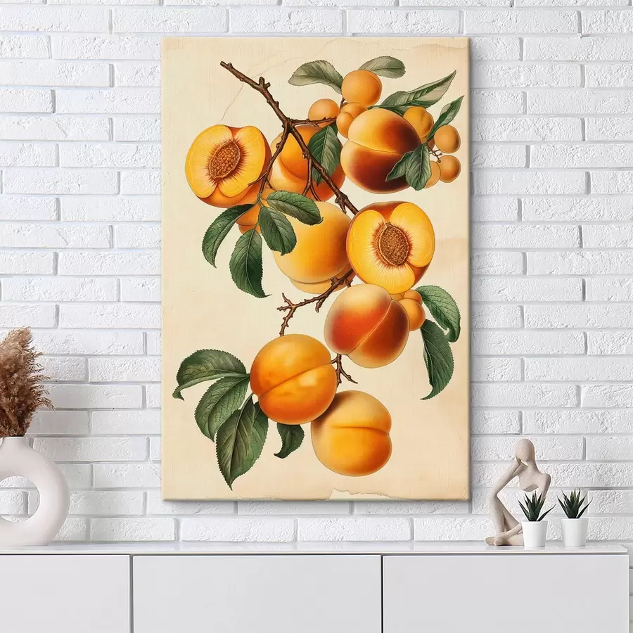 Obraz Meruňková větev Č. s44542