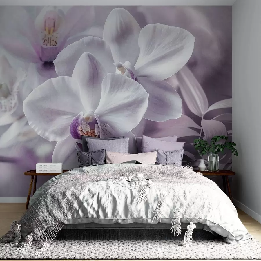 Fototapet Bílé a lila jemné květy orchidejí, měkké osvětlení a rozmazané texturované pozadí  w09155