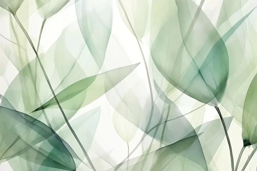 Fototapet Průhledné žilky listů w04145