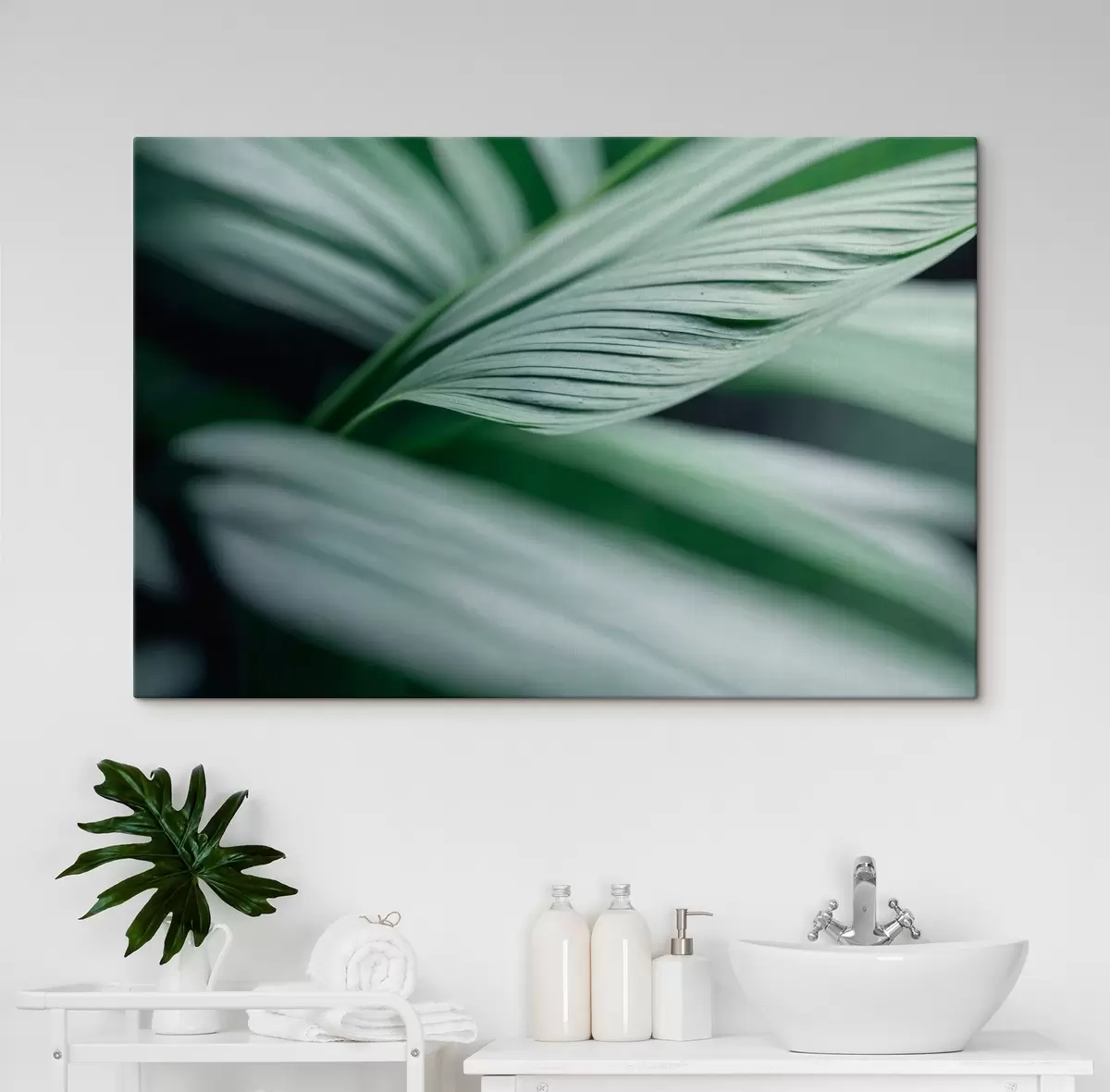 Obraz Tropické listy s kapkami vody v mlžném prostředí Č. s44903