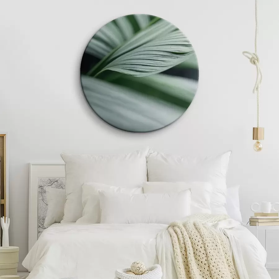 Obraz Tropické listy s kapkami vody v mlžném prostředí Č. r44903