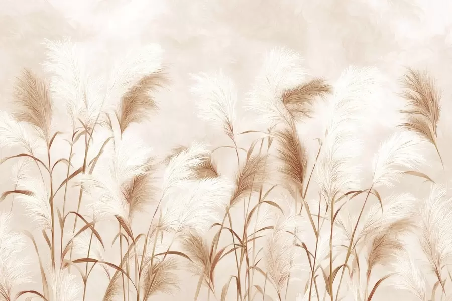 Fototapet Elegantní květy pampové trávy v jemných béžových a mléčných tónech w09150v1