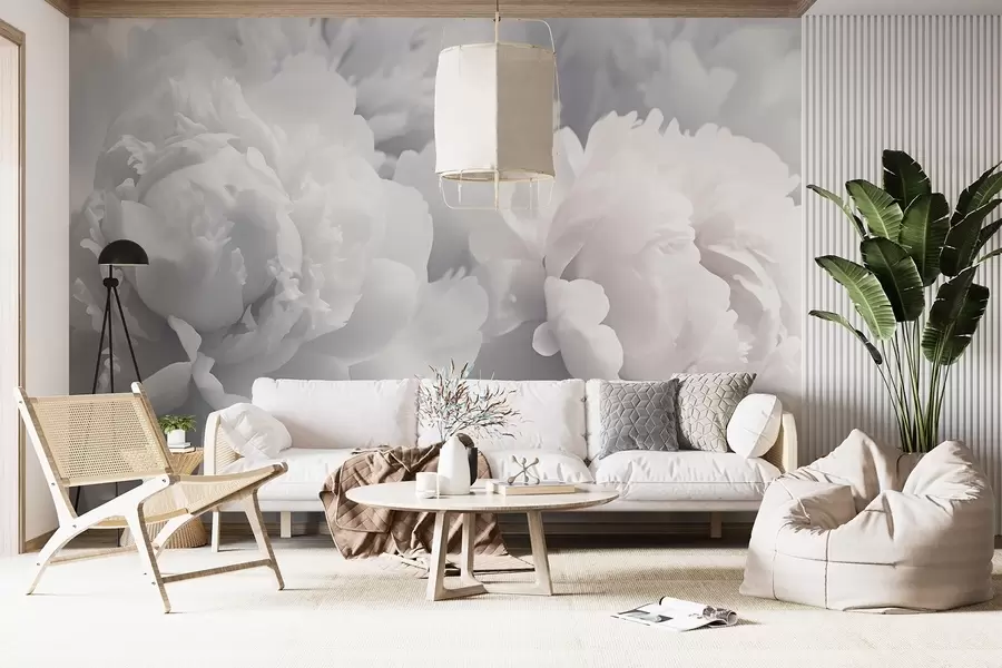 Fototapet Pivoňky w04336