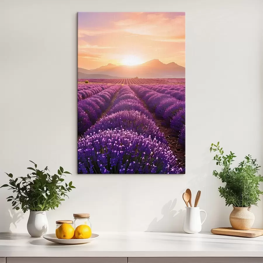 Obraz Západ slunce v levandulovém poli Č. s45663