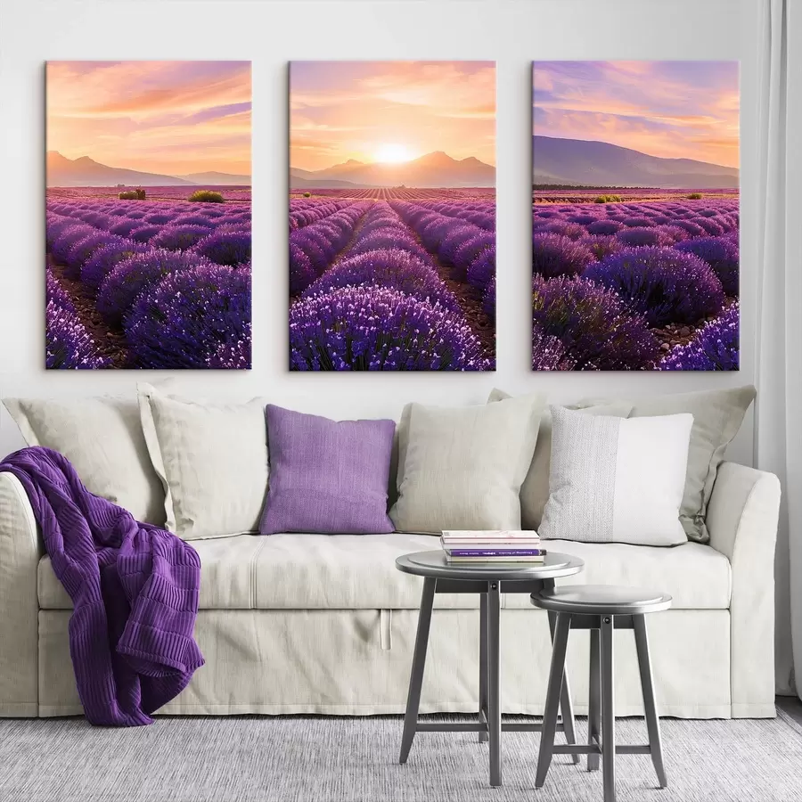 Obraz Západ slunce v levandulovém poli Č. m00785