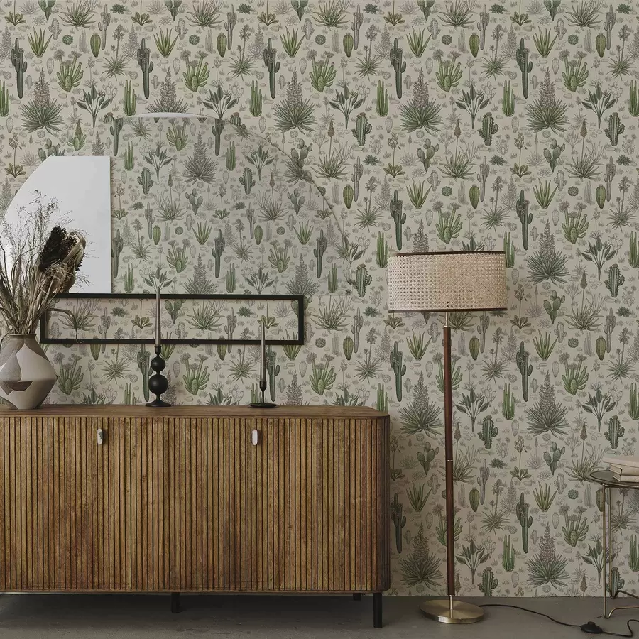 Fototapet Kaktusy a sukulenty na teplém pozadí, detailní tisk a00666