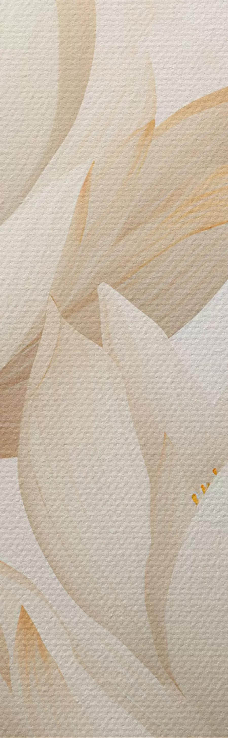 Obraz Krásné lotosové květy Č. m00861