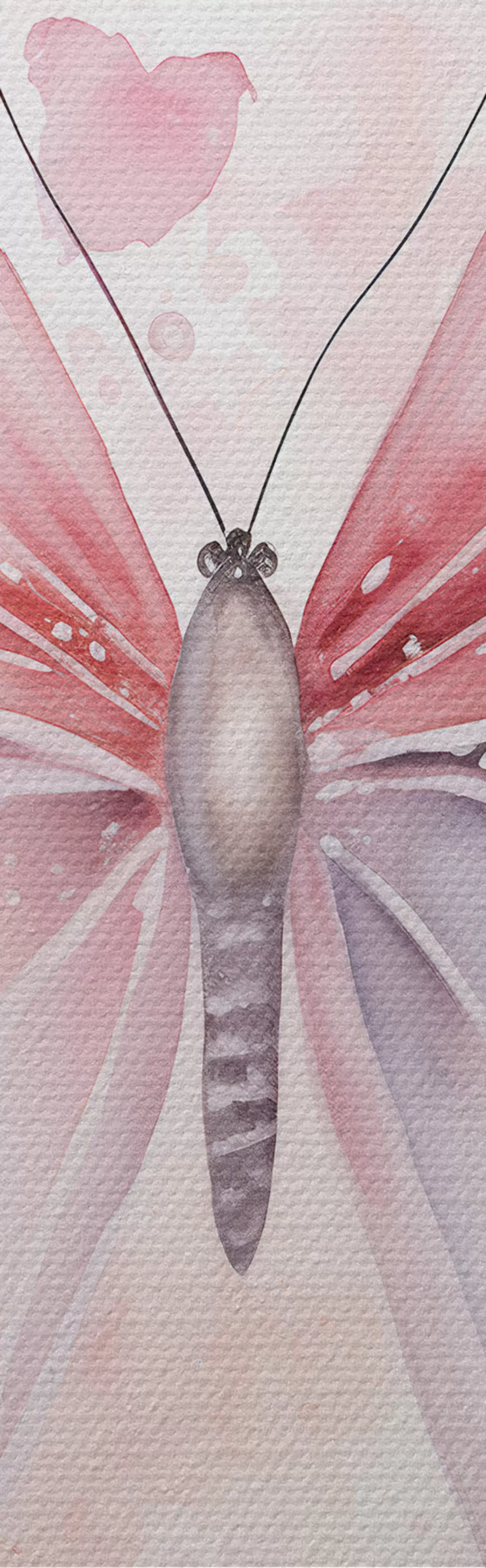 Obraz Různé růžové motýly Č. m00864