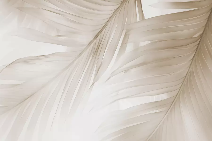 Fototapet Listy kapradí w04727