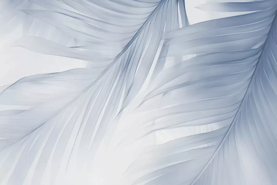 Fototapet Kapradinové listy v odstínech modré barvy w04727v1