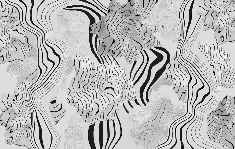 Fototapet abstraktní organické tvary ve 3D stylu v bílé a šedé barvě s černými pruhy w04627