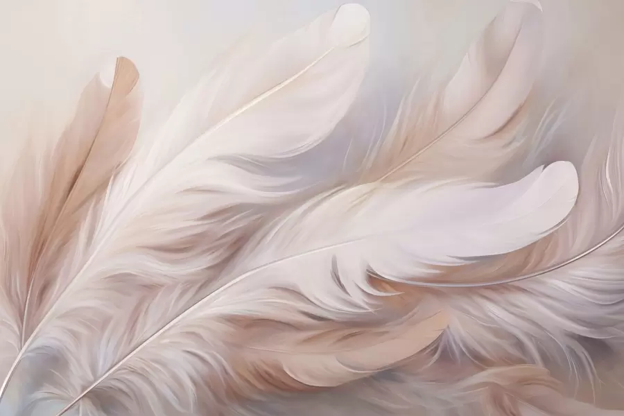 Fototapet Peří w04775