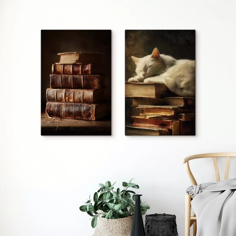 Obraz Kočka na knihách Č. m00918