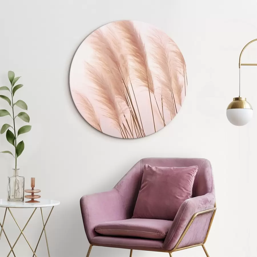 Obraz Světlé trávy s nadýchanými vrcholky na světlém pozadí Č. r46179