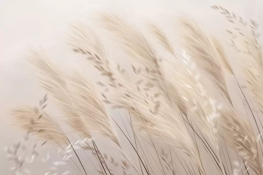 Fototapet Pampy w04849