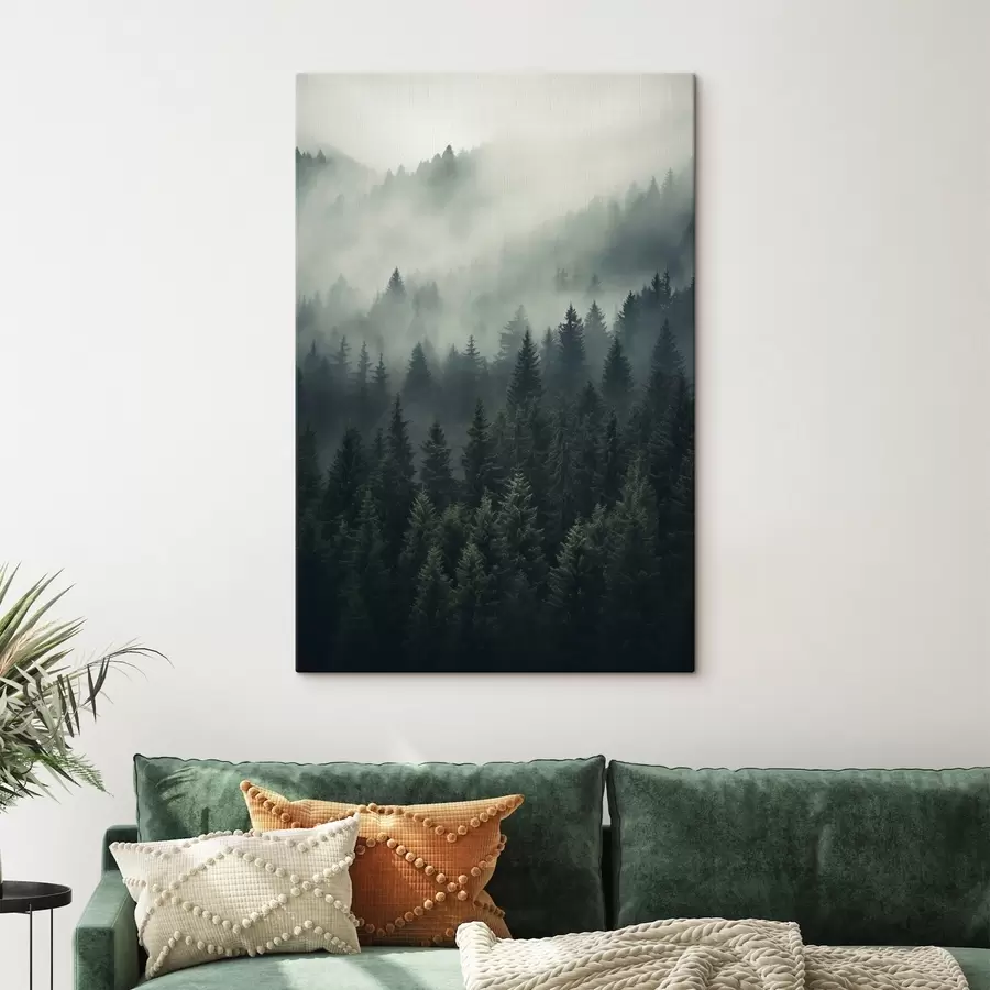 Obraz Mlha se valí nad hustým stálezeleným lesem Č. s46512