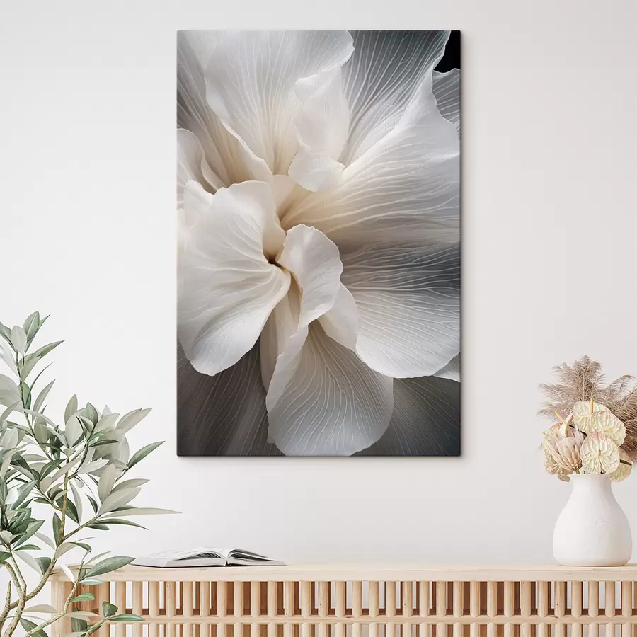 Obraz Detailní záběr jemných abstraktních bílých okvětních lístků s komplikovanými liniemi a rozmazaným tmavým pozadím Č. s47018